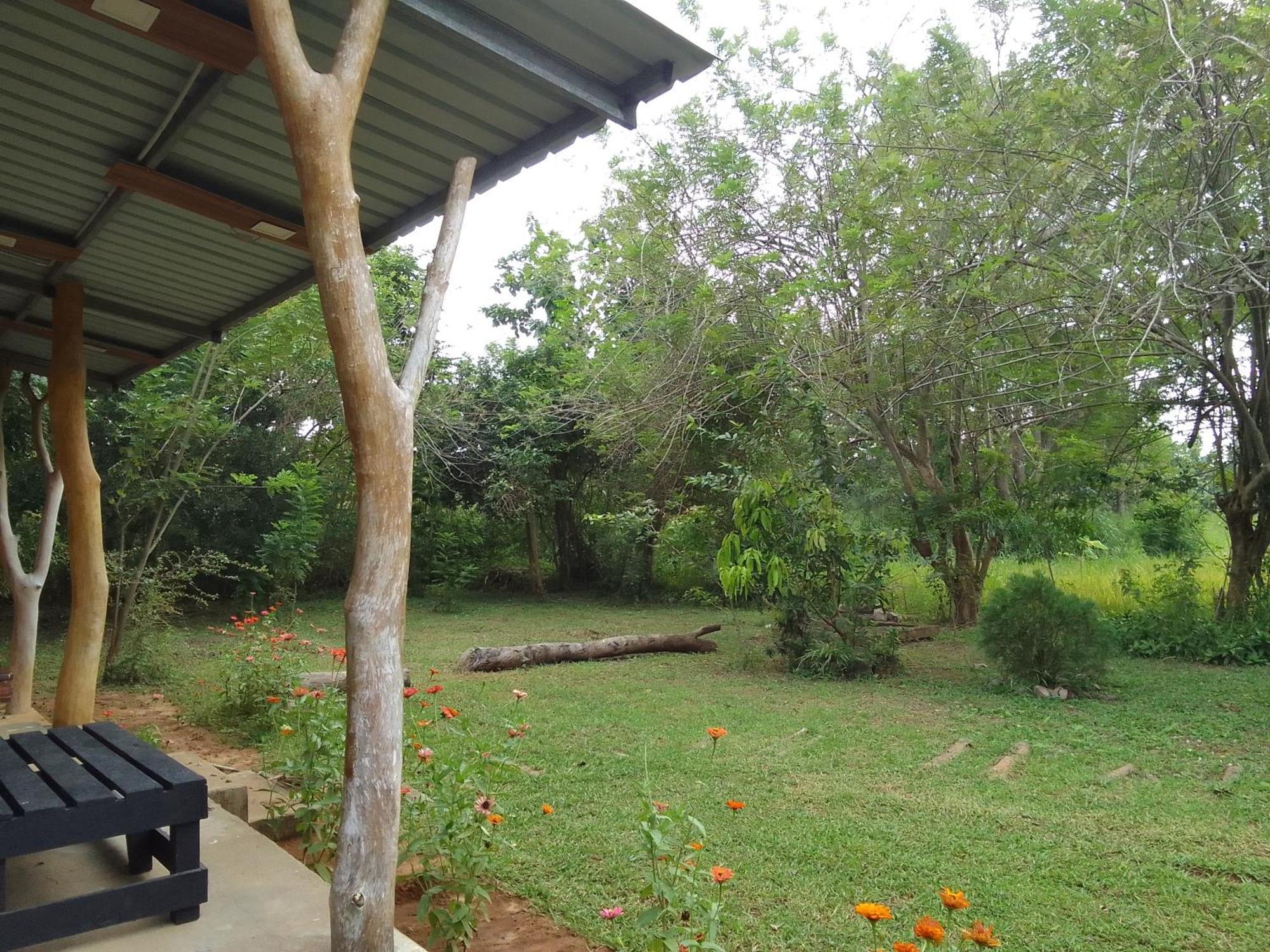 Wilpattu Buma Homestay Pahala Maragahawewa 外观 照片